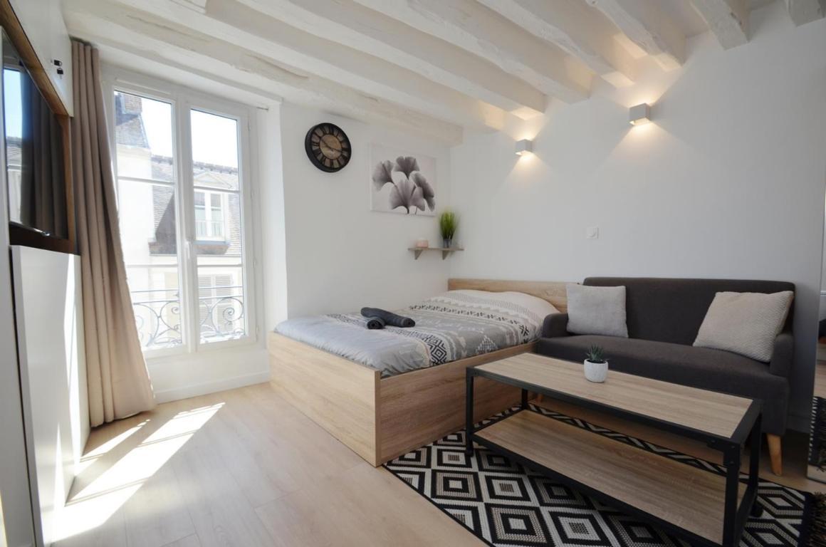 Le Petit France - Hyper Centre De Fontainebleau - Proche Insead Apartment Exterior foto